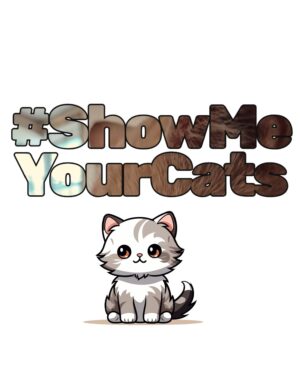Merch Store
