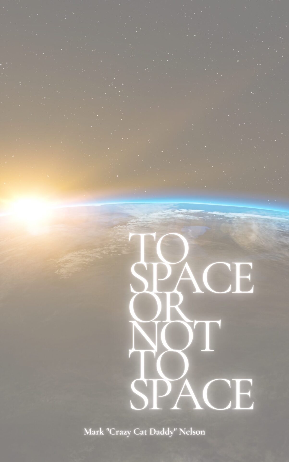 To Space Or Not To Space Cover