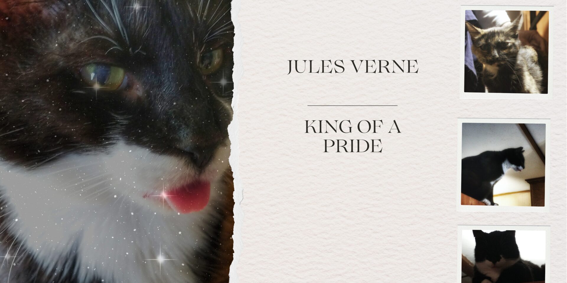 Jules Verne King of a Pride