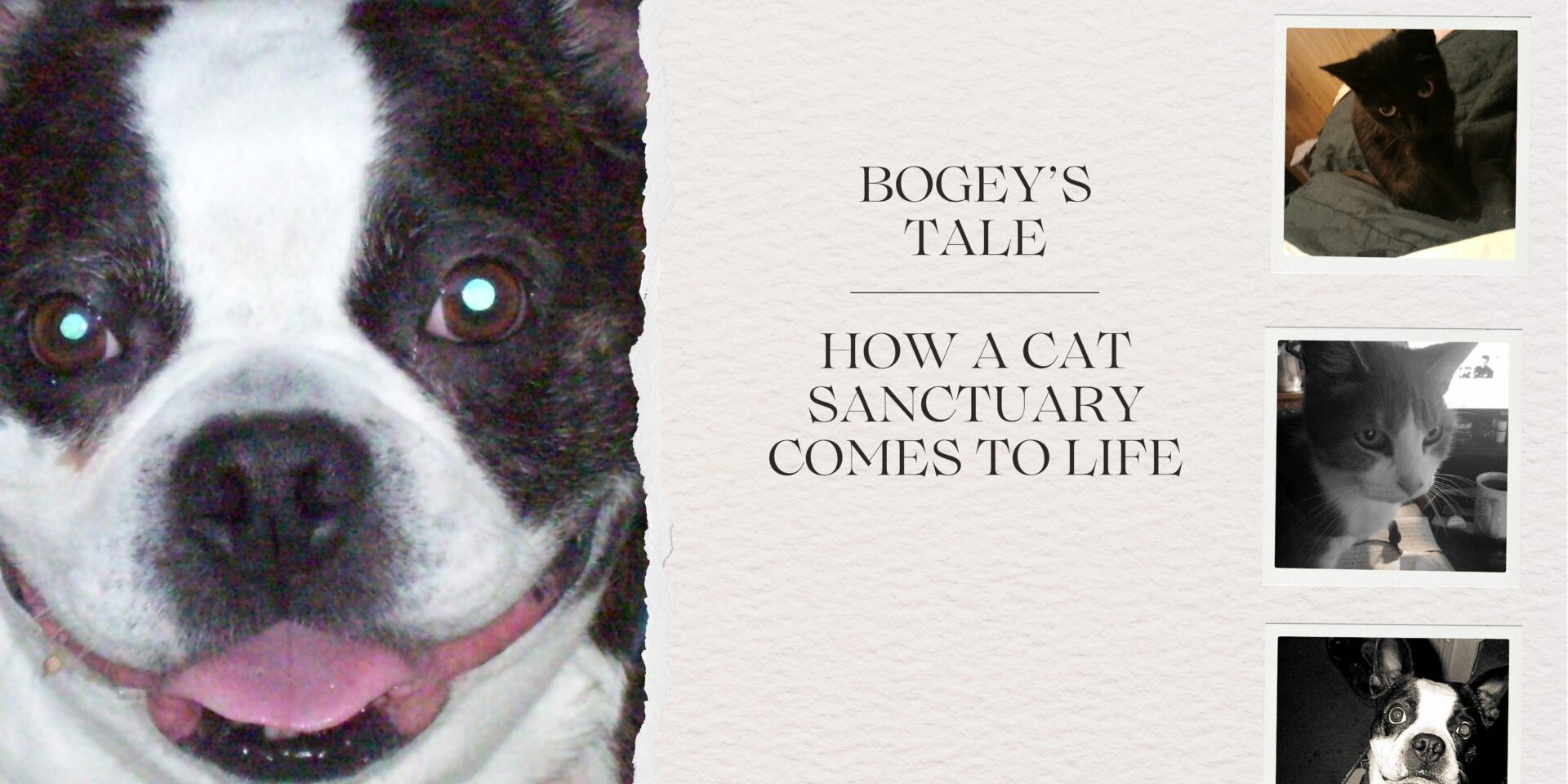 Bogey’s Tale