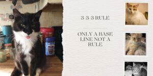 3-3-3 Rule: Only a baseline, not a Rule